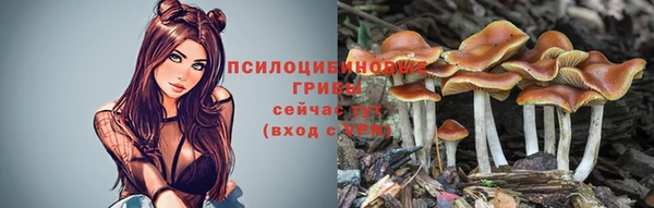 mdpv Нефтекумск