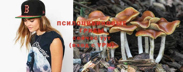 mdpv Нефтекумск