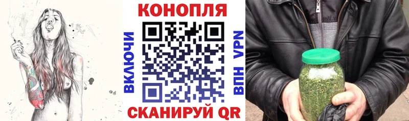 купить  сайты  Томмот  Бошки марихуана гибрид 